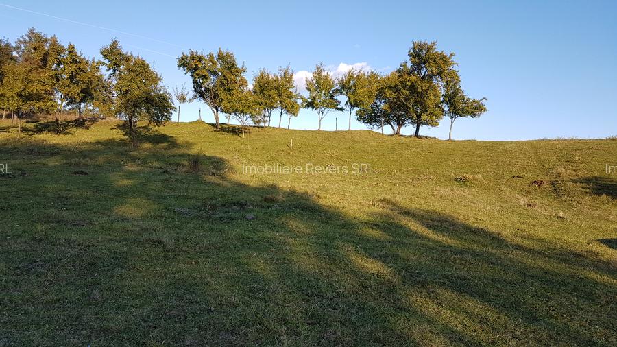 Teren livadă cu panoramă superbă Dealul Malului pentru casă sau cabană - 25