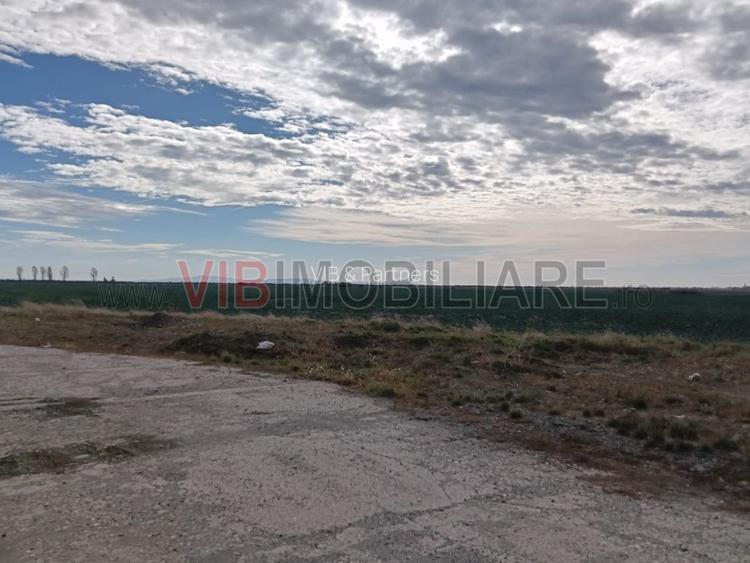 Ferma Agricolă 1.350 Hectare – Grad de Comasare 96–97%, Chișineu Criș, Județul A - 14