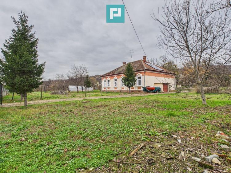 CONAC IMPRESIONANT ÎN GHIOROC - 23