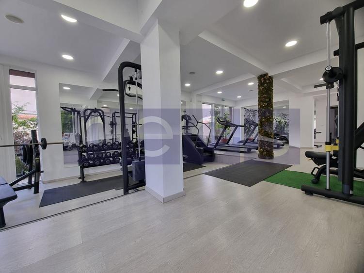 INCHIRIERE SPATIU COMERCIAL-2 VILE | ZONA MOGOSOAIA - 15