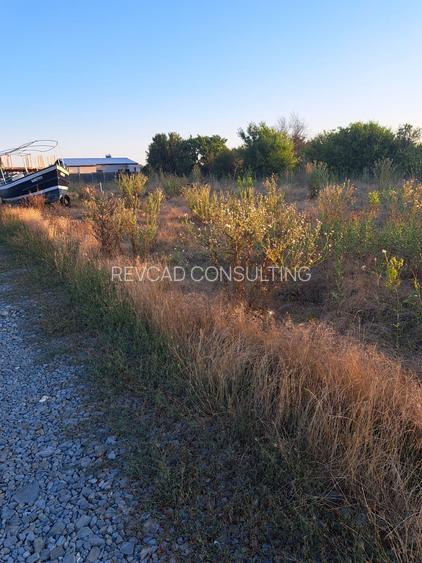 Teren intravilan Steaua de mare 2 - 2