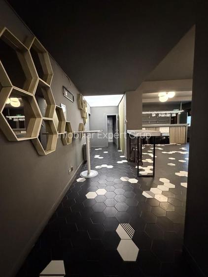 Zona Balcescu Maria Rosetti sp 310 mp P+E1+Terasa - 3