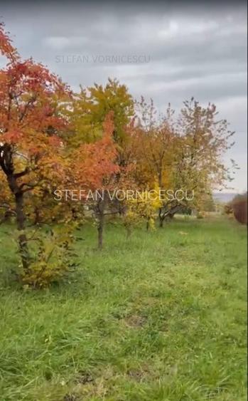 Teren la Strada EUROPEANA , CU TOATE UTILITATILE parcele de case - 2