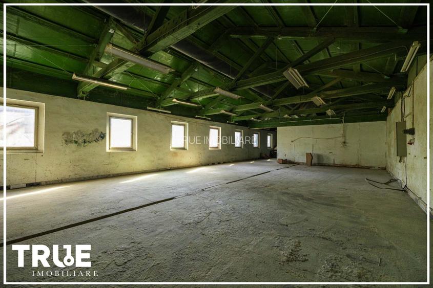 Hală de producție și depozitare - Voiniceni, Mureș - 15