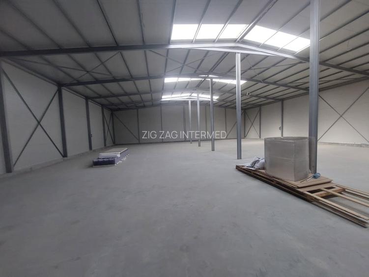 Ovidiu, parc industrial, constructie 2025, 120-1160 mp. - 5