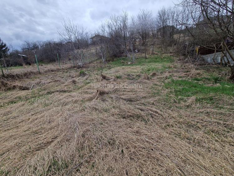 Teren cu toate utilitatile 584 mp, Dezmir zona str Criseni - 5