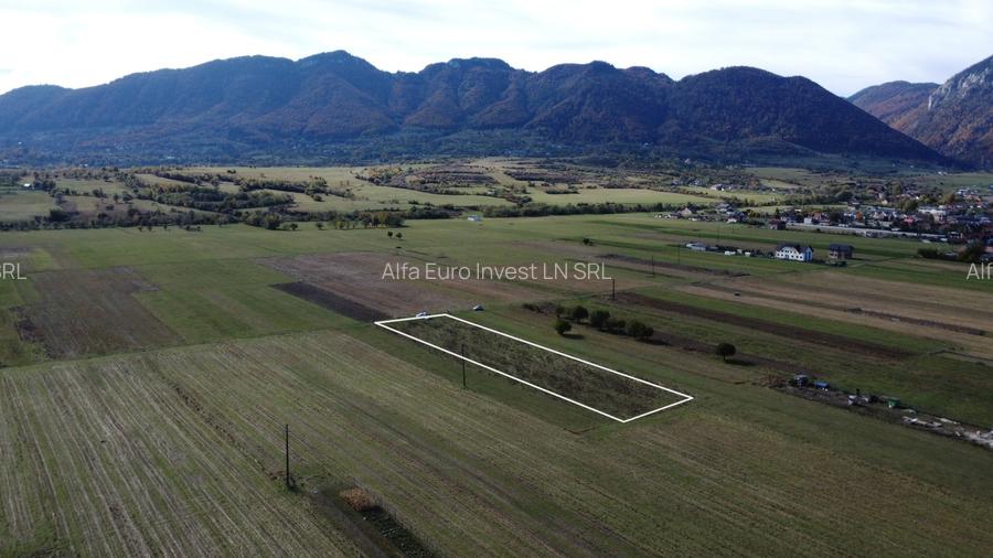 TEREN INTRAVILAN ZONA PENNY - 4