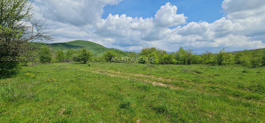 Teren 1500 mp pe str Paltinului, Valea Ghinzii , extravilan Bistrita - 3