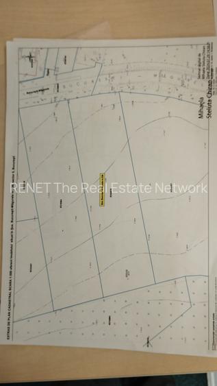 Inchiriez  teren 5000mp  Buc Măgurele, nr:236 stradal Sector 5 pentru 4500 EURO - 8