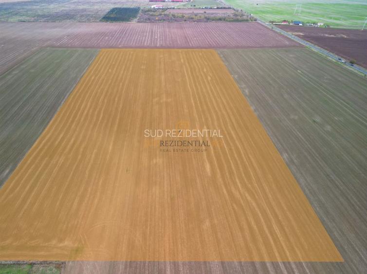 Teren 84.400 mp, ideal dezvoltare rezidentiala, PUZ aprobat, Frumusani - 6