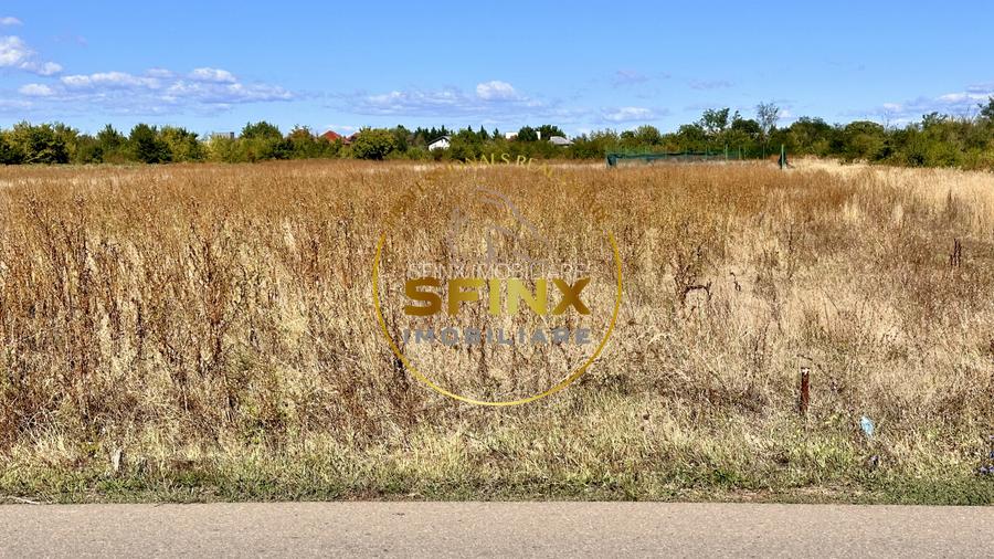 Corbeanca 3000 mp | deschidere 22 m la drum asfaltat | padure | utilitati  - 11