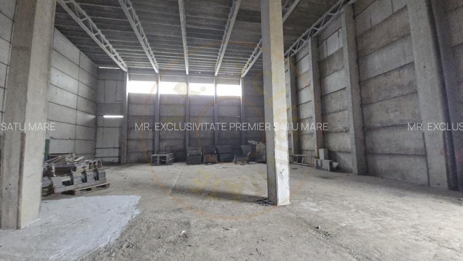 De Vanzare Hala/Depozit - 5