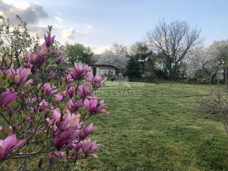 Teren deschidere dubla ideal casă, 28km Centru Bucuresti sat Bălteni - 4