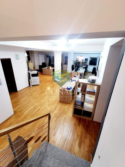 Spatiu de birouri Herastrau - 2