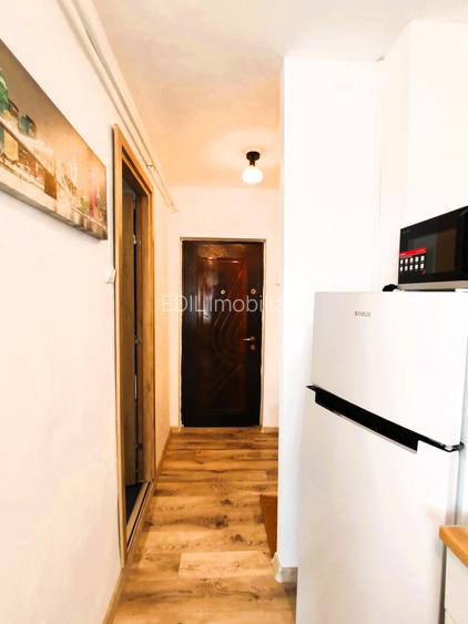 Apartament de închiriat, 1 cameră, 36 mp, Plopilor zona Parc Iuliu Hațieganu - 18