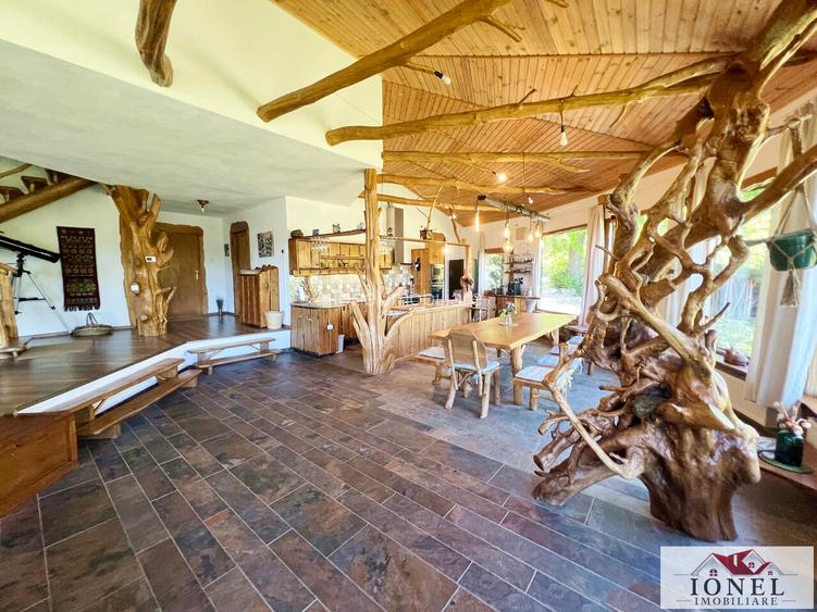 Casa exclusivista de vanzare in Aiud - 10