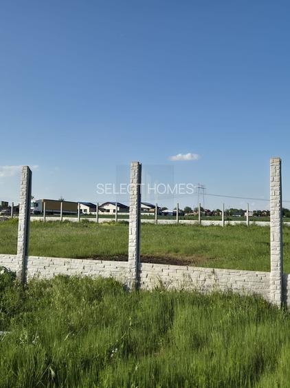 Teren Intravilan 497mp de Vanzare Padurisu *Calarasi* - 6