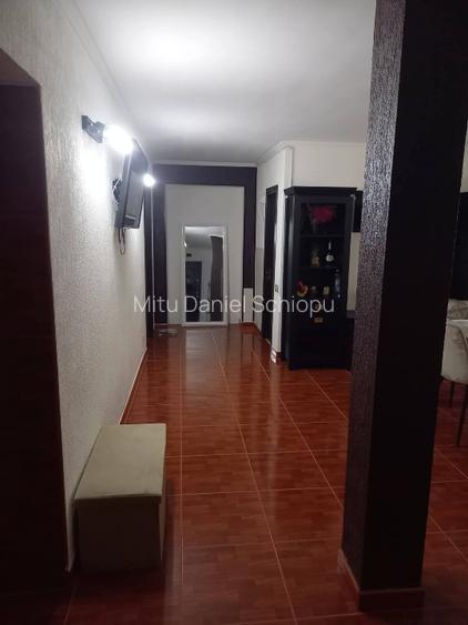 Apartament de vânzare, Dr. Tr. Severin - 10