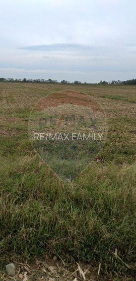 Teren extravilan 3000mp de vânzare la Sântion - 2