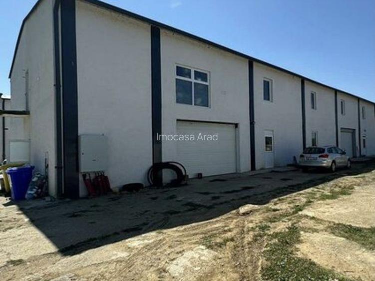 De închiriat hală depozitare 320/640 mp Aluniș Arad - 4