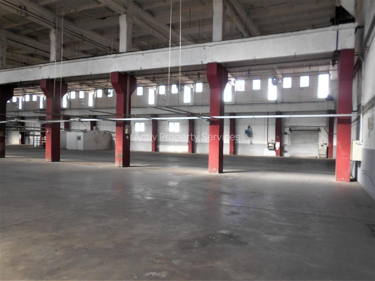 Hala industriala cu pod rulant de inchiriat Lugoj - 6