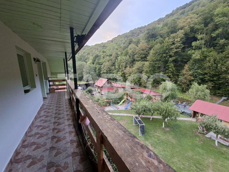 Spatiu de vanzare in Valea Macesului judel Valcea iesire la Lotru - 39