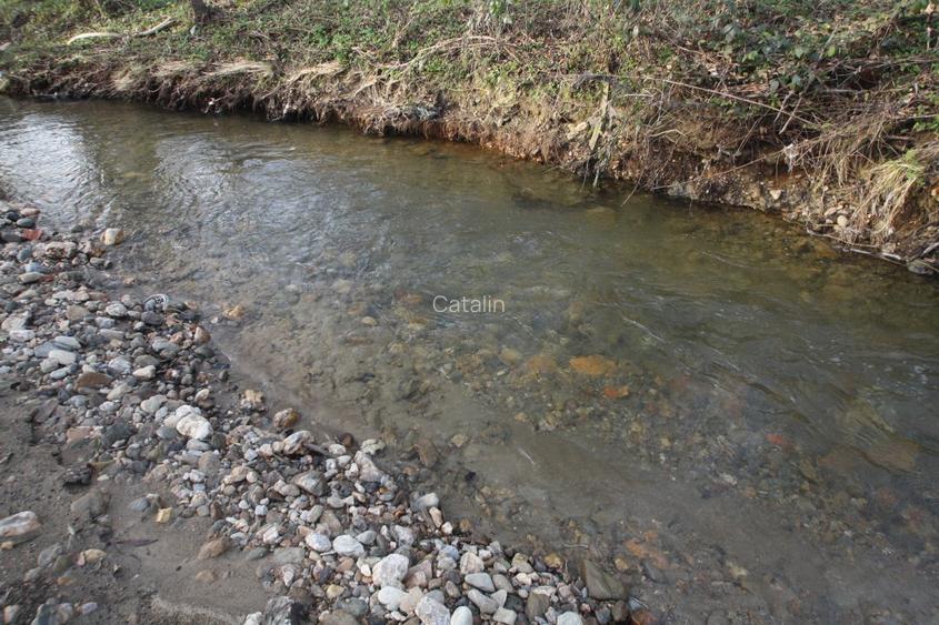 Proprietar vand parcela ptr. cabana de vacanta in Muntii Poiana Ruscai - 4