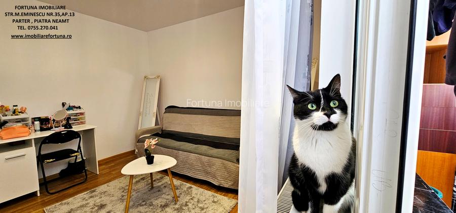 Apartament 2 camere,etaj 2,mobilat si utilat,2 locuri parcare,Precista-Sc.nr.4 - 6