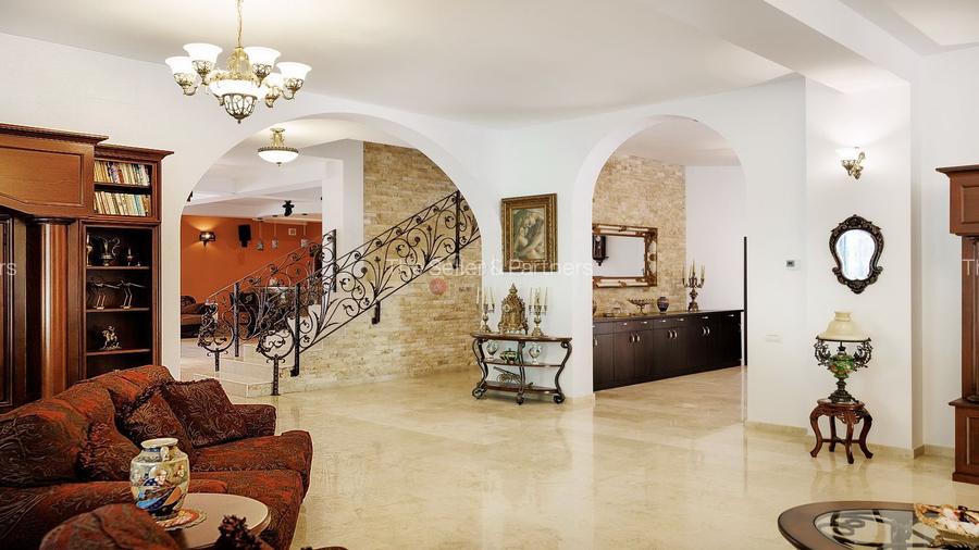 PROPRIETATE DEOSEBITA - LIZIERA PADURII - 6