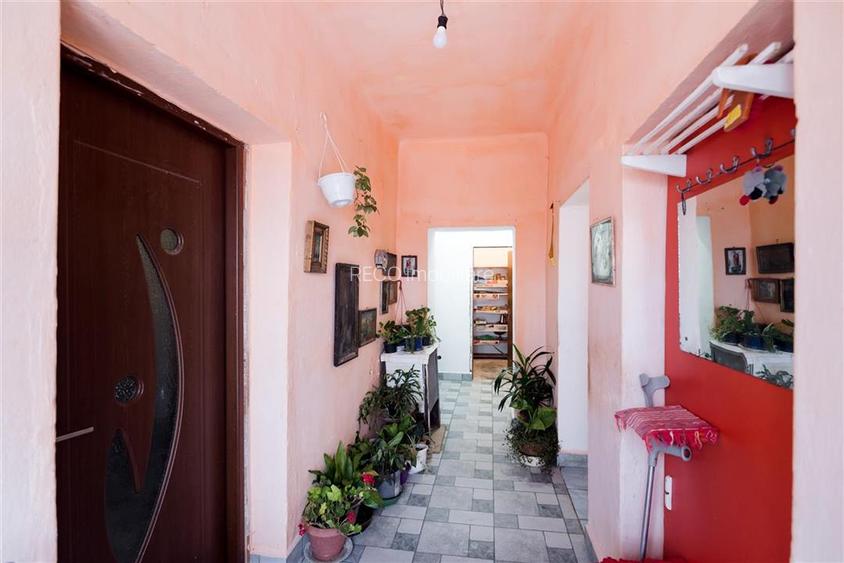 RECO teren cu casa de vaioaga - 13