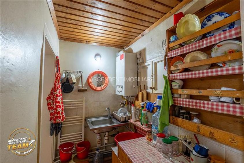 Casa in inima statiunii Covasna, cu gradina, vie si pomi fructiferi - 7