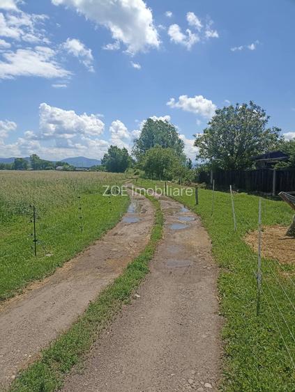 De vânzare teren extravilan la Sfântu Gheorghe - 4
