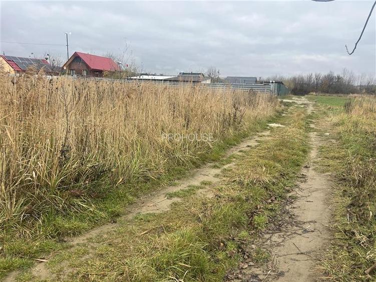 Hemeius- teren 500 mp- 18 ml deschidere! - 5