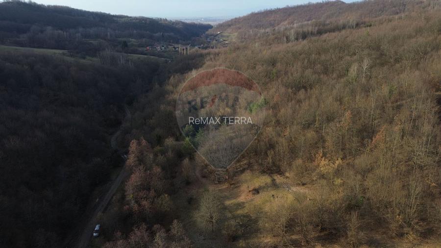 Poiană pentru cabana de vanzare intravilan Coas - 3