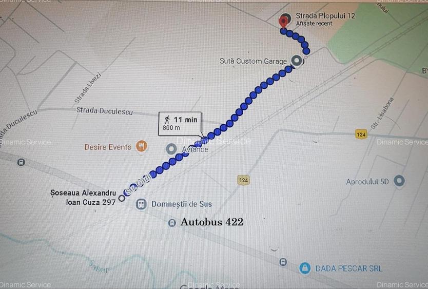 Teren Domnesti Catiche - 2