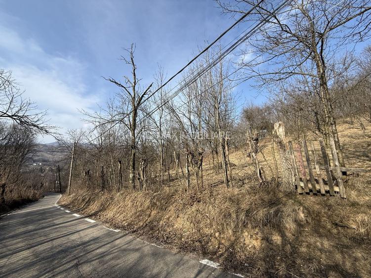 Teren intravilan 2788 mp deschidere 55 ml cu vedere panoramica ! - 20