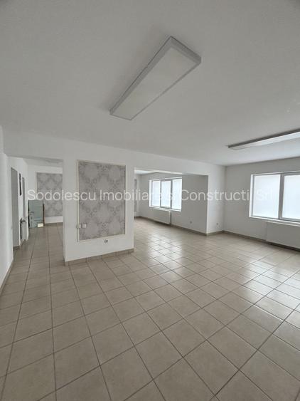 Spațiu zona Mehala - 12