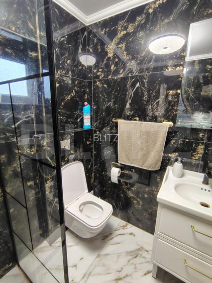 Proprietate cu 2 case, una fiind traditionala, Dezmir  - 14