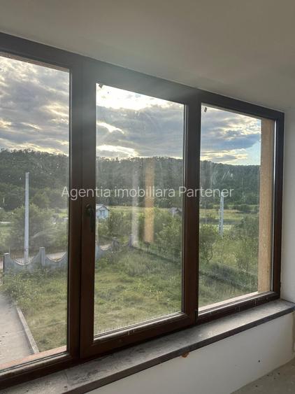 Casa P+E, teren 6.900 mp, sat Barbatesti / com Cocu /jud Arges - 10