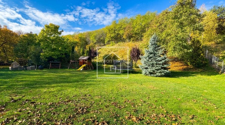 Vila exclusivista cu piscina interioara si 4362 mp curte in Sibiel - 19