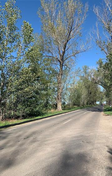 DJ200 Afumati Petrechioaia  Vanzare Teren intravilan -extravilan - 4