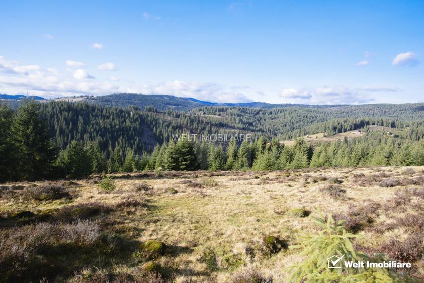 Se vinde teren cat un munte in Apuseni - Poiana Horea - 4