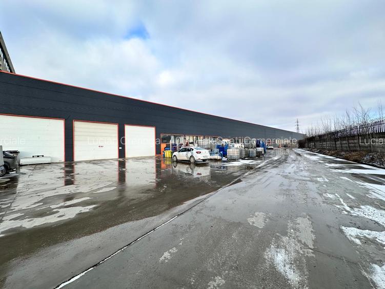Hala productie - depozitare, 110mp, aproape de Carrefour Felicia - 3