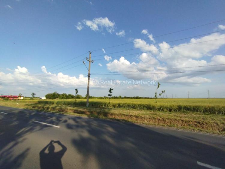 SE VINDE TEREN 5000 MP INTRAVILAN, MIXT CU DESCHIDERE LA DJ101 DE 42m - 3