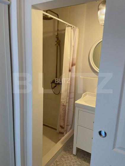 Investitie stabila in zona centrala – imobil pregatit pentru inchiriere, Horea  - 6