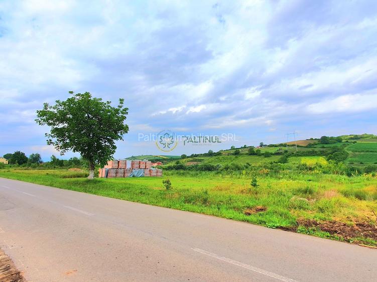 Teren intravilan 717 mp – Sura Mare, Sibiu - 3