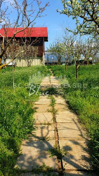 Casa cu teren 1200 mp situata in Localitatea Mihai Kogalniceanu - 12
