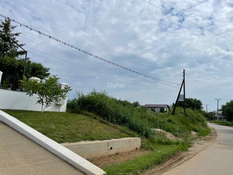 Teren Piscu intravilan,12500 mp, 15 euro mp, 30 m deschidere, toate utilitatile - 10