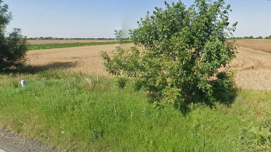 Extravilan, 17500 mp, Sag, Timis, DN69 - 4