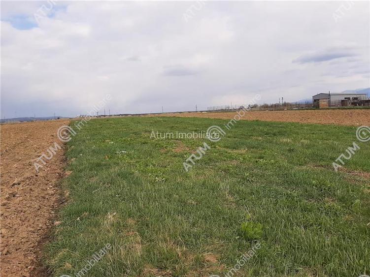 eren intravilan 1400 mp de vanzare pe Valea Avrigului - 7